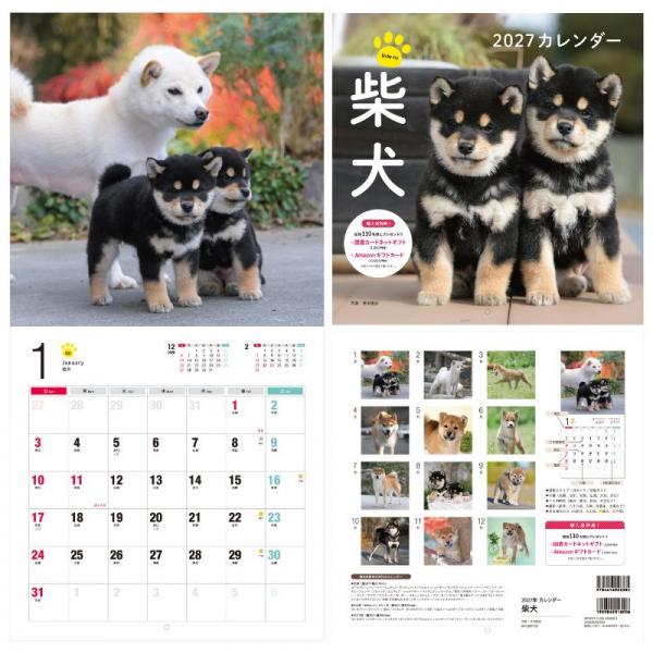 ＤＯＧカレンダー２０２７ 柴犬
