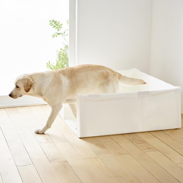 はみ出し飛び散りを防ぐ囲い付きトイレ（旧：やわらかプラダントイレ） Lサイズ／つまづきにくいフラットな入口。