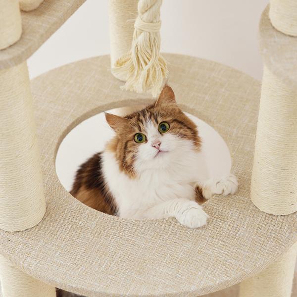 ラウンド型キャットタワー（高さ170cm　据え置き型　多頭飼い　大型猫） 大きな子でも安心の直径28㎝の通り穴