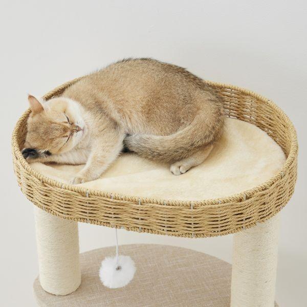 ラウンド型キャットタワー（高さ170cm　据え置き型　多頭飼い　大型猫） 