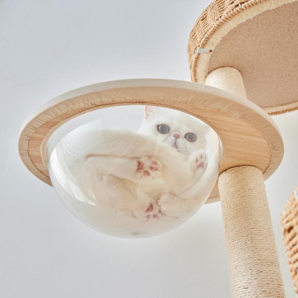 透明ボウル付きキャットタワー（高さ129cm 据え置き型） 透明カップを下から見ると可愛い肉球がチラリ♪