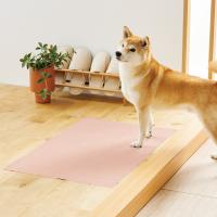 踏んばれない子のための滑らないシート　限定色