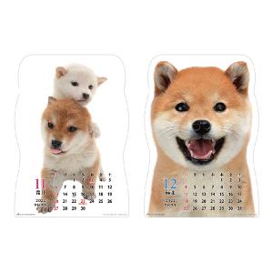 22年版カレンダー特集 わんちゃんカレンダーに毎日癒されよう