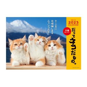 23年 可愛すぎる猫カレンダーを集めました