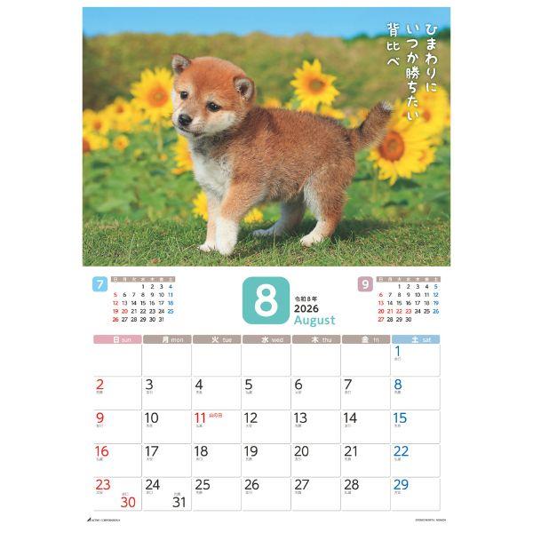 だってシバだもの。カレンダー２０２６　月めくり壁掛け 