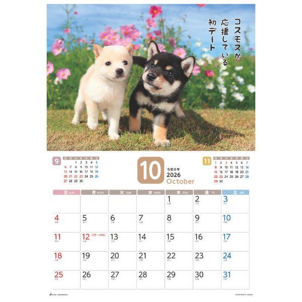 だってシバだもの。カレンダー２０２６　月めくり壁掛け 