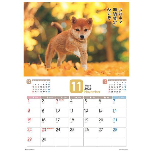 だってシバだもの。カレンダー２０２６　月めくり壁掛け 