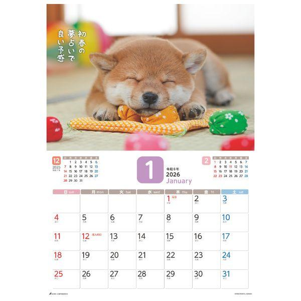 だってシバだもの。カレンダー２０２６　月めくり壁掛け 