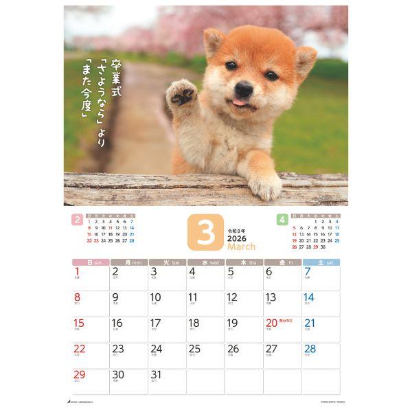 だってシバだもの。カレンダー２０２６　月めくり壁掛け 