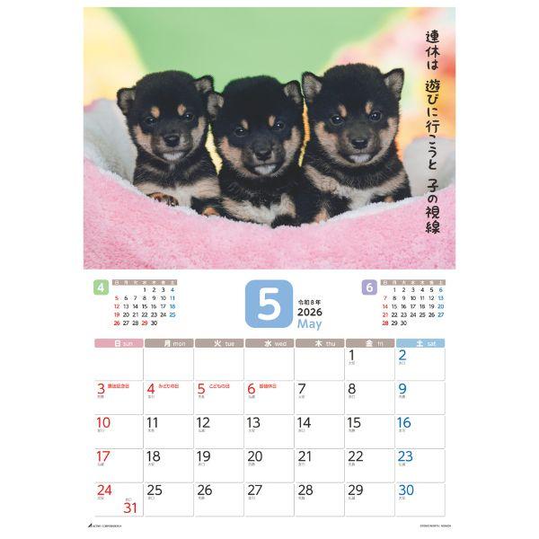 だってシバだもの。カレンダー２０２６　月めくり壁掛け 