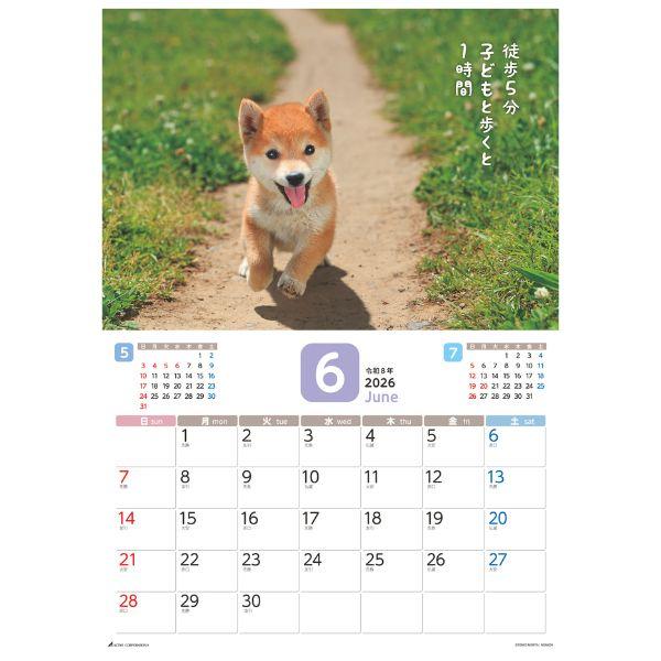 だってシバだもの。カレンダー２０２６　月めくり壁掛け 