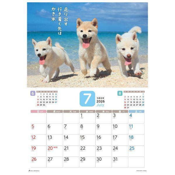 だってシバだもの。カレンダー２０２６　月めくり壁掛け 