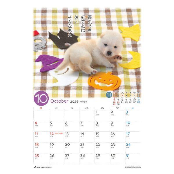 ぷちしば卓上カレンダー２０２６　月めくり 