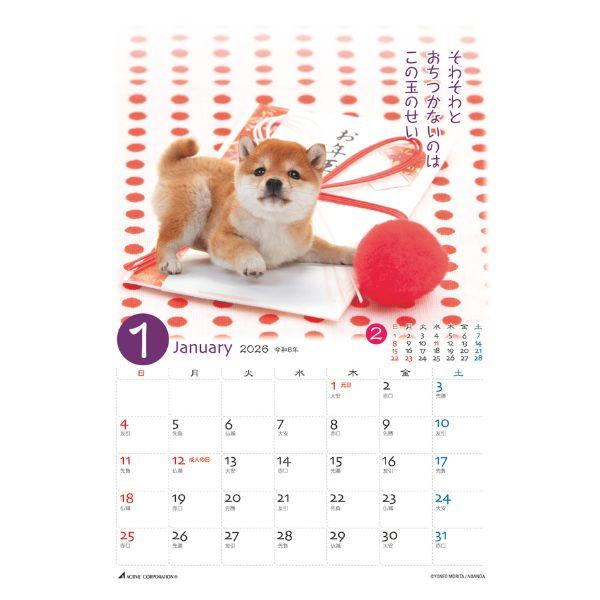 ぷちしば卓上カレンダー２０２６　月めくり 