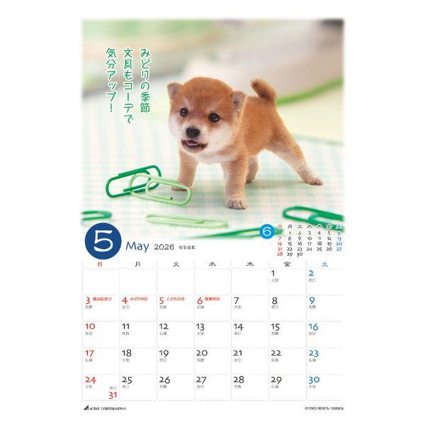 ぷちしば卓上カレンダー２０２６　月めくり 