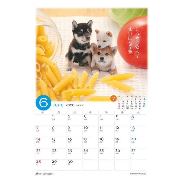 ぷちしば卓上カレンダー２０２６　月めくり 