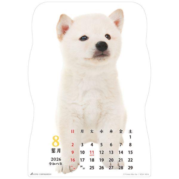 柴犬です２０２６　壁掛け 