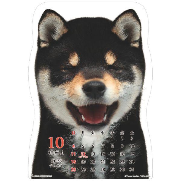 柴犬です２０２６　壁掛け 