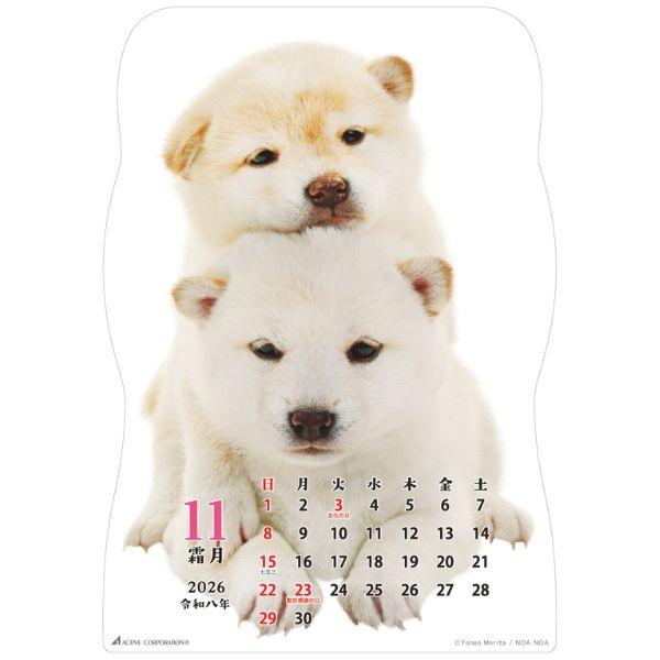 柴犬です２０２６　壁掛け 