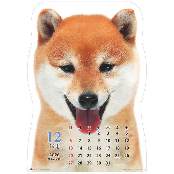 柴犬です２０２６　壁掛け 