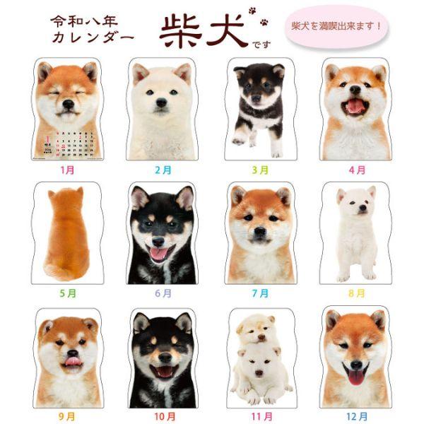 柴犬です２０２６　壁掛け 