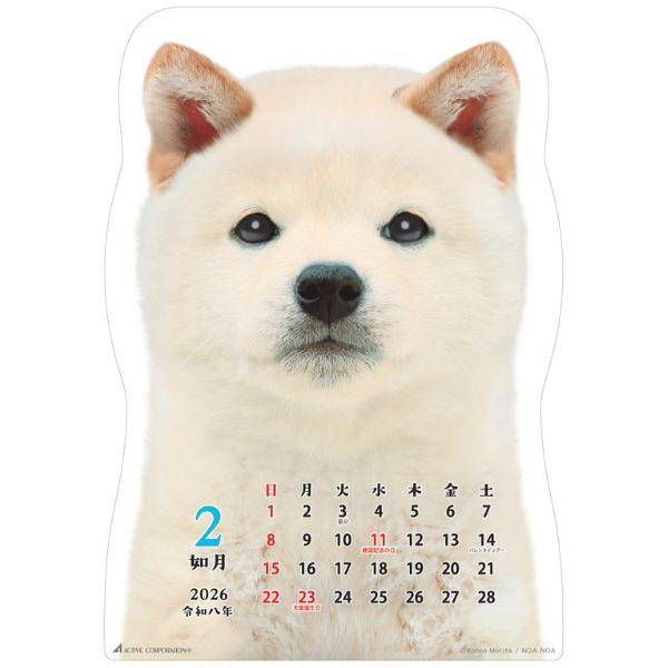 柴犬です２０２６　壁掛け 