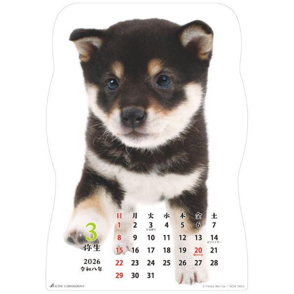 柴犬です２０２６　壁掛け 