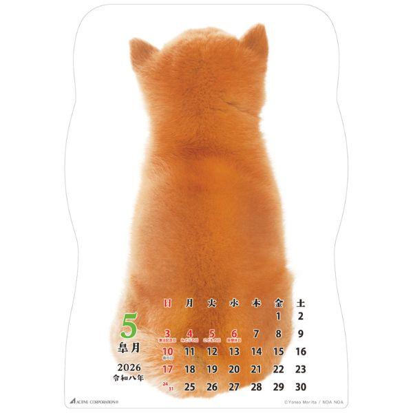 柴犬です２０２６　壁掛け 