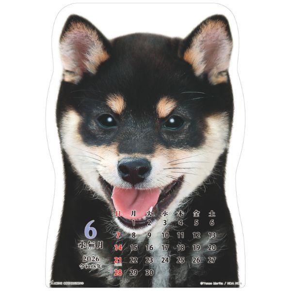 柴犬です２０２６　壁掛け 