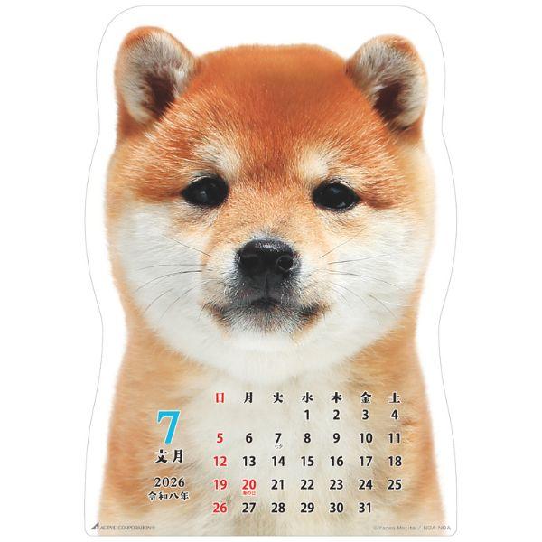 柴犬です２０２６　壁掛け 