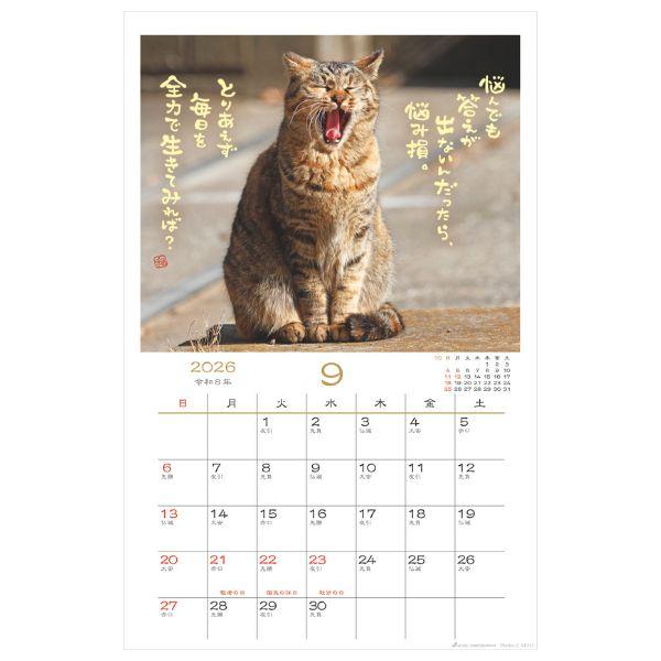 日なたぼっこ猫だよりカレンダー２０２６　壁掛け 
