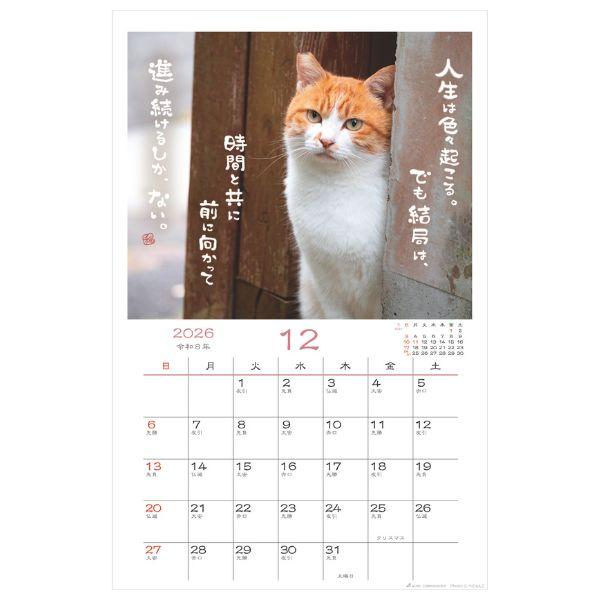 日なたぼっこ猫だよりカレンダー２０２６　壁掛け 
