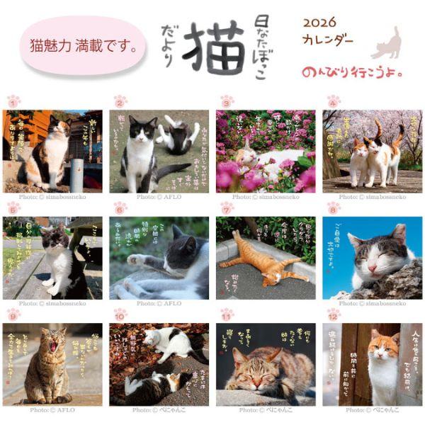 日なたぼっこ猫だよりカレンダー２０２６　壁掛け 