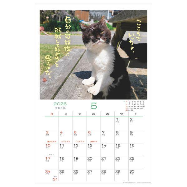 日なたぼっこ猫だよりカレンダー２０２６　壁掛け 