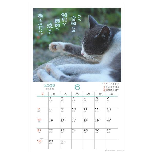 日なたぼっこ猫だよりカレンダー２０２６　壁掛け 