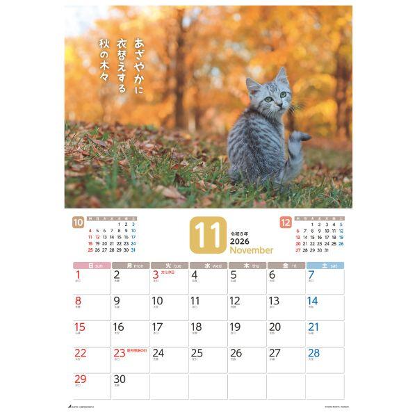 だってネコだもの。カレンダー２０２６　月めくり壁掛け 