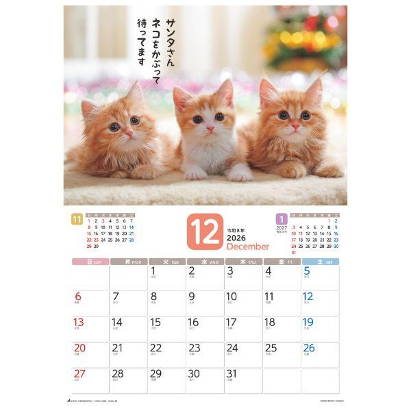 だってネコだもの。カレンダー２０２６　月めくり壁掛け 