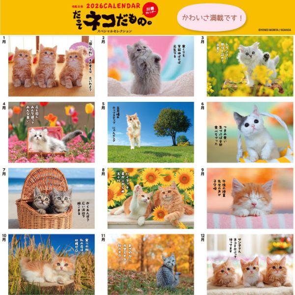 だってネコだもの。カレンダー２０２６　月めくり壁掛け 
