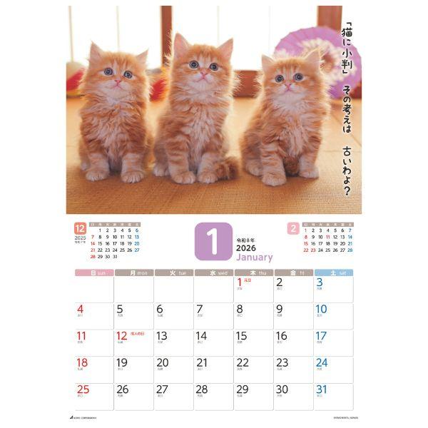 だってネコだもの。カレンダー２０２６　月めくり壁掛け 