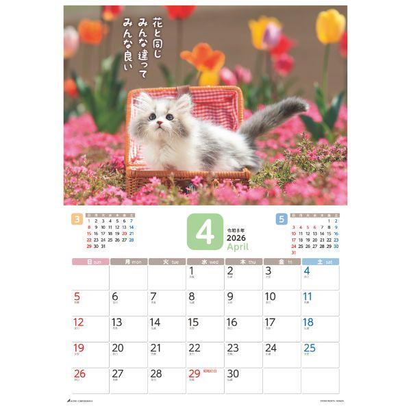 だってネコだもの。カレンダー２０２６　月めくり壁掛け 