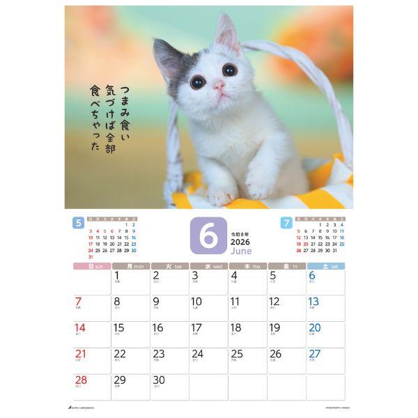 だってネコだもの。カレンダー２０２６　月めくり壁掛け 