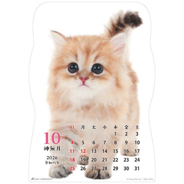 猫です２０２６　壁掛け 