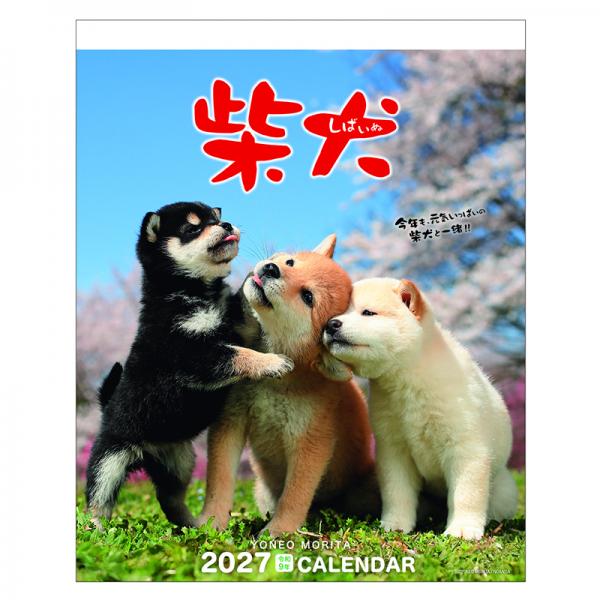 森田米雄 まるごと柴犬カレンダー２０２７　壁掛け 表紙