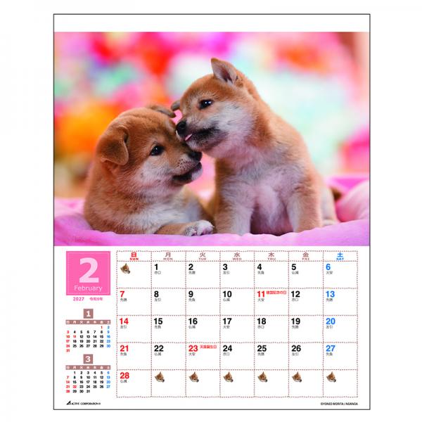 森田米雄 まるごと柴犬カレンダー２０２７　壁掛け 中面･2月