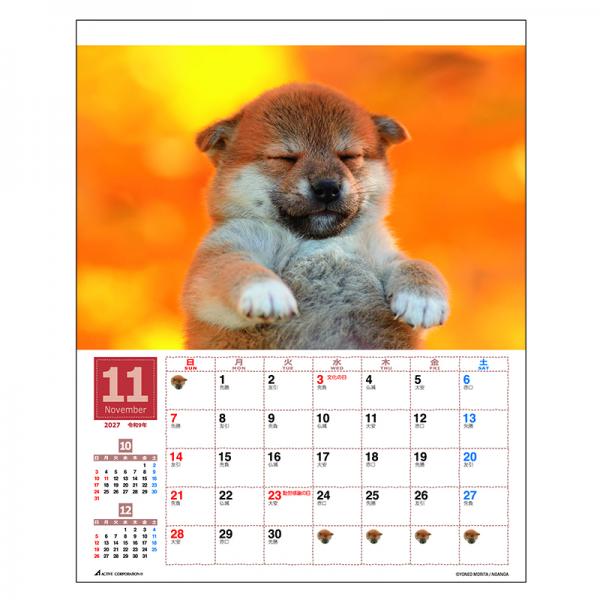 森田米雄 まるごと柴犬カレンダー２０２７　壁掛け 中面･11月