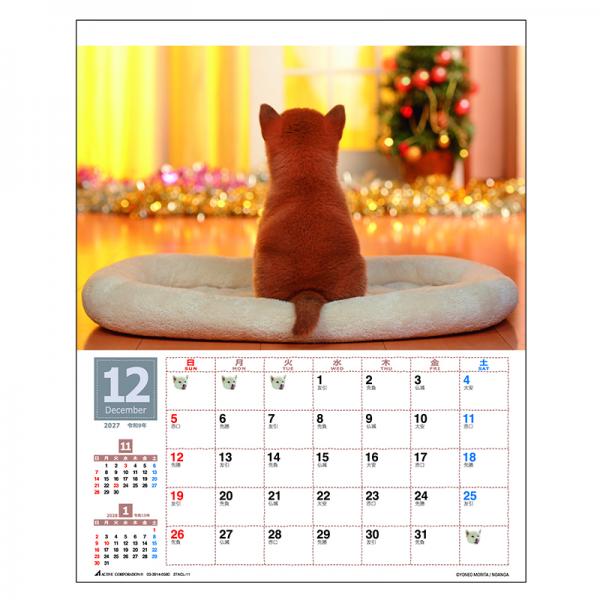 森田米雄 まるごと柴犬カレンダー２０２７　壁掛け 中面･12月