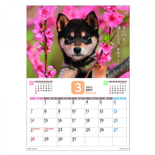 だってシバだもの。カレンダー２０２７　月めくり壁掛け 中面･3月