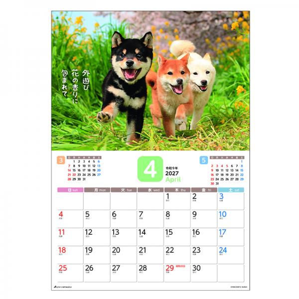 だってシバだもの。カレンダー２０２７　月めくり壁掛け 中面･4月