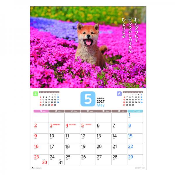 だってシバだもの。カレンダー２０２７　月めくり壁掛け 中面･5月