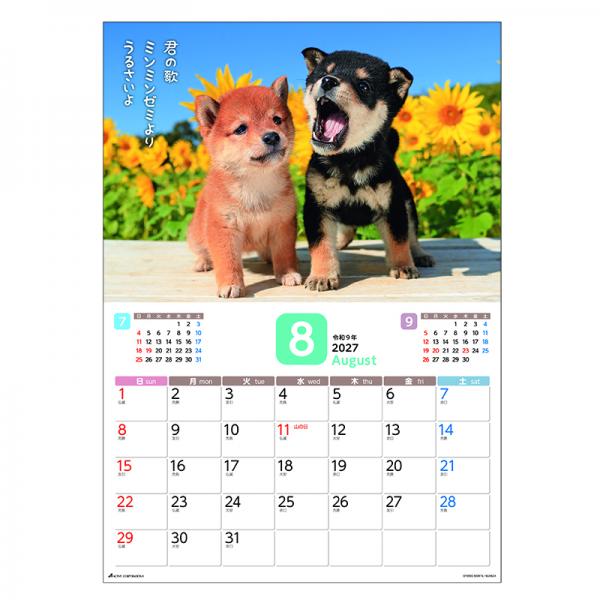 だってシバだもの。カレンダー２０２７　月めくり壁掛け 中面･8月